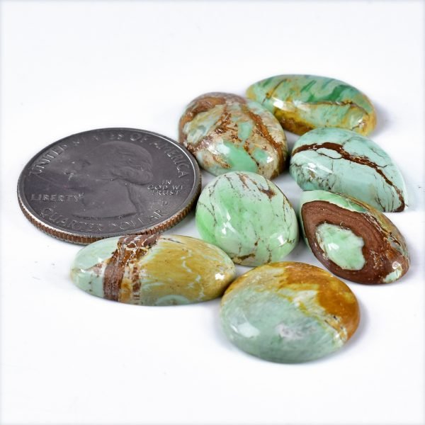 Amit Gems Cabochon Variscite Loose Gemstone Lot