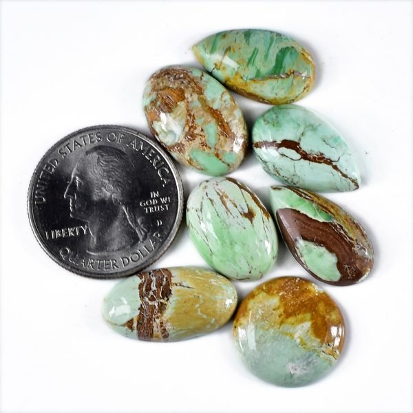 Amit Gems Cabochon Variscite Loose Gemstone Lot