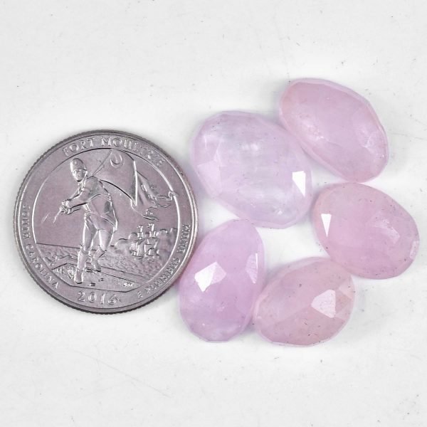 Amit Gems Rosecut Morganite Loose Gemstone Lot Freeform Shape